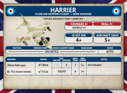 British Harrier Close Air Support Flight Team Yankee